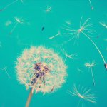 Profile Picture of Isabella Luke Crumley Dimler (@isabella_luke) on Instagram