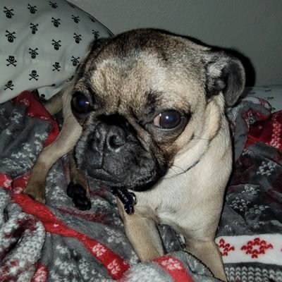 Profile Picture of AlexTickle (@AlexTickle4) on Twitter