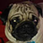 Profile Picture of Makayla Harper (@makayla1990) on Flickr