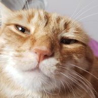 Profile Picture of Matthew Cianci (@CianciMatthew) on Twitter