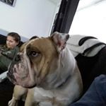 Profile Picture of kane_loves_gaming (@kaneyjames) on Instagram