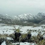 Profile Picture of Alirio Ramirez (@alirio.ramirez.71) on Instagram