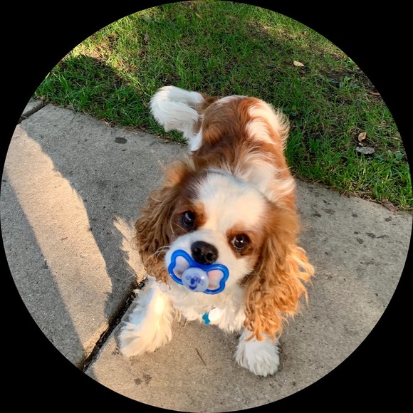 Profile Picture of Basil Damukaitis (@jbazchicago) on Poshmark