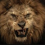 Profile Picture of Peter Peralta (@mythicalpete_22) on Instagram