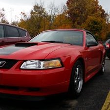 Profile Picture of Mike Mazzola (@MikeMazzola97) on Twitter