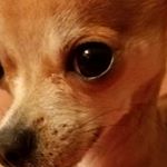 Profile Picture of Benjamin higgs (@benjaminhiggs9065) on Instagram
