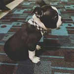 Profile Picture of Robert Eugene Vargas (@robert.vargas1224) on Instagram