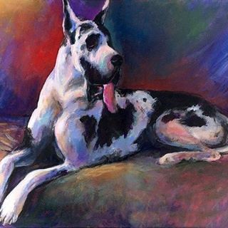 Profile Picture of Crystal Kennel (ੴ) (@Crystals.Kennel) on Facebook