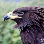 john lister - Instagram Profile Picture of john lister (@dumargot) on Instagram