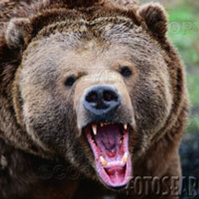 Profile Picture of Matthew Merrick (@850mattski72) on Twitter