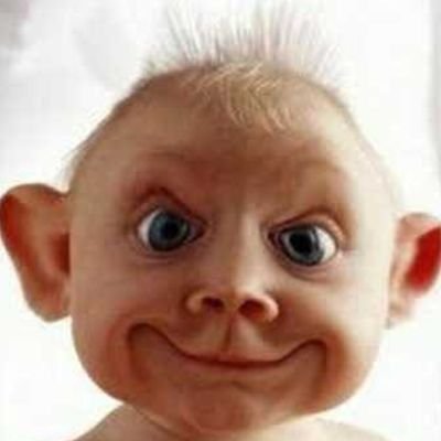 Profile Picture of Peter Hulbert (@Peterhulbert195) on Twitter