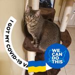 Profile Picture of Jacqueline Jacobson (@rnicu777) on Instagram