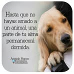 Profile Picture of Hubert Figueredo (@Hubert-Figueredo) on Facebook