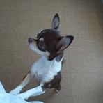 Profile Picture of Raymonde Labalme (@ramone.labalme) on Facebook