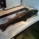 Profile Picture of paul-sylvain baglioni (@paulsylvainbaglioni) on Instagram