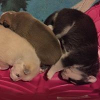 Profile Picture of Dawn Muessman (@dawn-muessman) on Quora