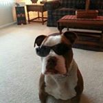 Profile Picture of Jeremy Winstead (@winsteadjeremy) on Instagram