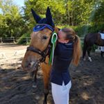 Profile Picture of JuliaUphoff Official (@julia_horsediary_) on Instagram