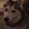 Profile Picture of Nancy Fassett (@nancyfassett0) on Tiktok