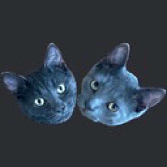 Profile Picture of Tareq Dawoudiah (@tardaw) on Poshmark