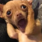 Profile Picture of Michael DeCat (@Michael-DeCat) on Facebook