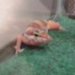 Profile Picture of Neil Arsenault (@neil.arsenault.754) on Myspace