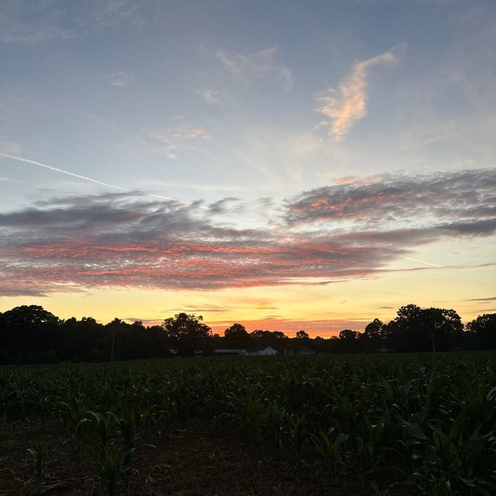 Profile Picture of Moultrie (@moultrie693) on Tiktok