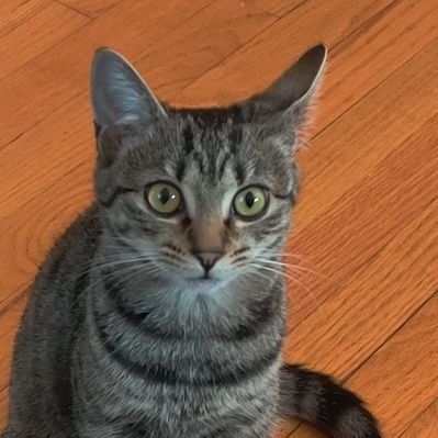 Profile Picture of Lucious Anderson (@LuciousAnderson) on Twitter