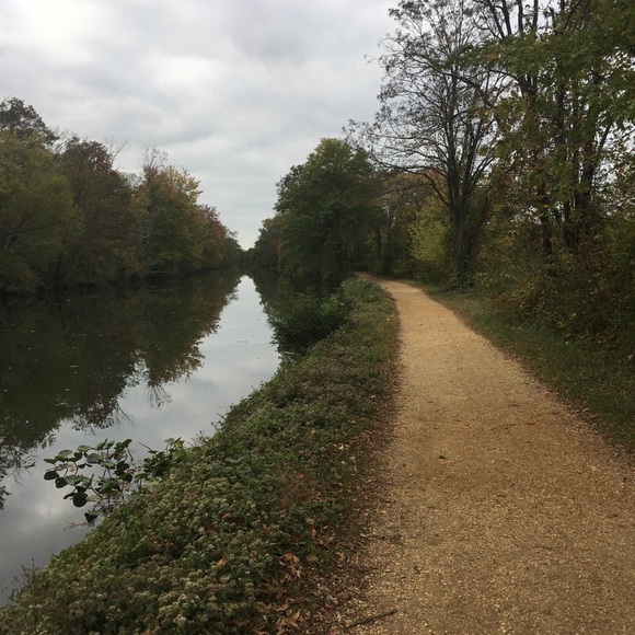 Profile Picture of Jawad Younus (@alwaysjawad) on Poshmark