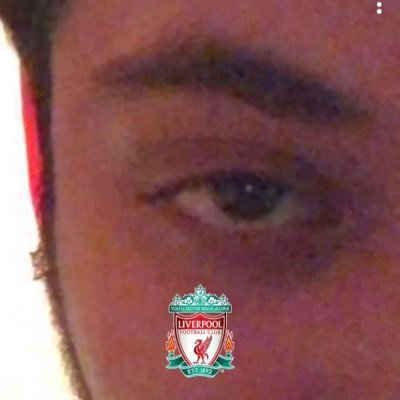 Profile Picture of Anthony Gigi Saluzzi (@anthonysaluzzi) on Twitter