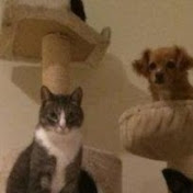 Profile Picture of Nicholas Fain (@nicholasfain7290) on Youtube