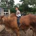 Profile Picture of Jose Eguizabal (@jose.eguizabal.52) on Facebook