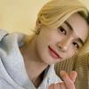 Profile Picture of Luna (@Stars) on Tiktok