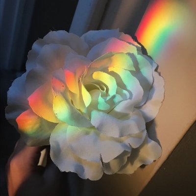 Profile Picture of Yoonhee Park (@YoonheePark4) on Twitter