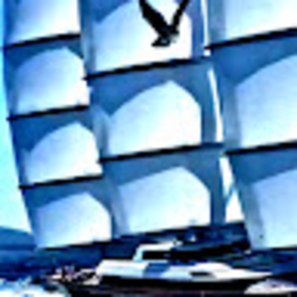 Profile Picture of Renee Downs (@reneedowns541) on Poshmark