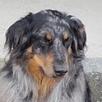 Profile Picture of Norma Siebert (@norma.siebert) on Instagram