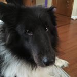 Profile Picture of James Tuell (@james.spammmss_) on Instagram