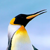 Profile Picture of Christopher Clayton (@Mriliketacos13) on Youtube