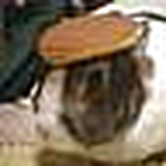 Profile Picture of Nicholas Plummer (@plummer.nicholas) on Flickr