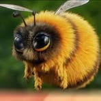 Profile Picture of Shengjie Liu (@Shengjie-Liu) on Facebook