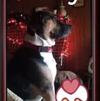 Profile Picture of Wiley Ivey (@wiley.ivey.5) on Facebook