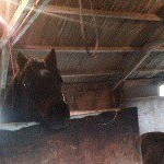 Profile Picture of Alison (@alisonbainbridge235) on Instagram