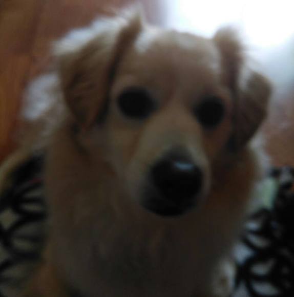 Profile Picture of Louann Burncheck (@louannburncheck) on Poshmark