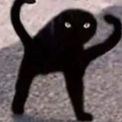 Profile Picture of Kevin Báez (@kevinbaez26) on Twitter