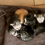 Profile Picture of Tammy Voils (@tammy.voils.2025) on Facebook