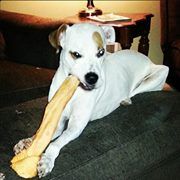 Profile Picture of Chad Ackerman (@chadackerman79) on Pinterest