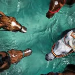 Profile Picture of Christopher Donald Steele (@Christopher-Donald-Steele) on Facebook