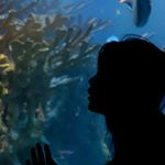 Profile Picture of Jingwei Zhang (@jingwei1862) on Instagram