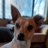 Profile Picture of nathangerber558 (@@nathangerber558) on Tiktok