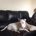 Profile Picture of Melba Gibson (@melba.gibson.94) on Facebook